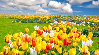 beautiful nature lovers life Top video 2
