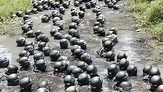 TNI Indonesia