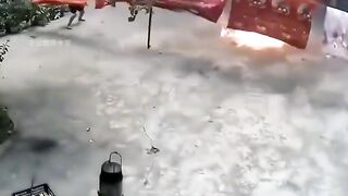 Funny videos 248