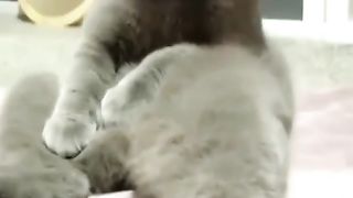 A mourir de rire