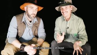 Caught in a Pinch: My Encounter with an Elephant Beetle! Part1