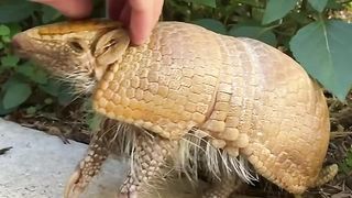 Wilson’s adorable garden adventure!