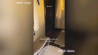 Funny animal 24