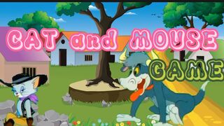 Cat and mouse game