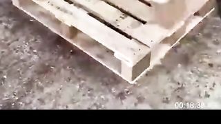 Transforming Old Pallets into Stylish Chairs ????♻️????️????