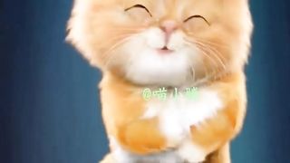 Cute cat singing baby shark song ????
