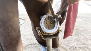 Full restoration-farrier ASMR Satisfying