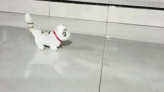 Penampakan 2