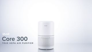 Pet air purifier