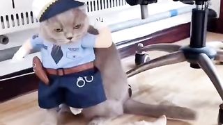 very loving animal2