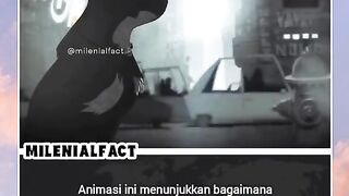 Fakta unik 2