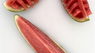 Watermelon art