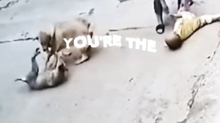 The real hero
