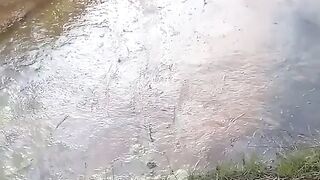 Videos funny 2