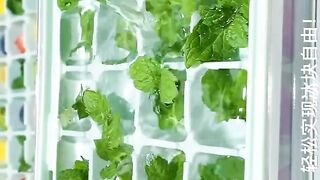 Ice cubes best hack for kitchen