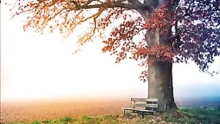1 Hour Meditation Relaxing Music No Copyright Meditation Music