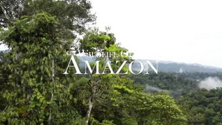 Wald life Amazon video#Wald life Amazon video#