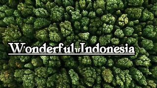 Wonderful Indonesia