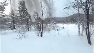 Хаски коротко о Собаках Хаски