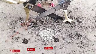 pigeon-trap-bird-trap-shorts-youtubeshorts-ytshorts.