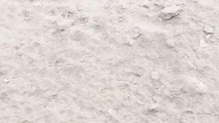 Dog Dunes