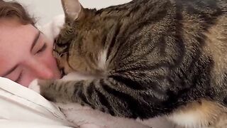 КОТКИ 29