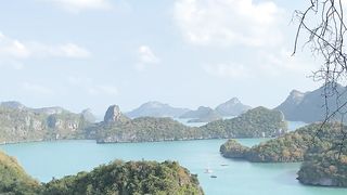 Nature videos 4