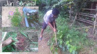 In the afternoon I clean the grass and water my plants