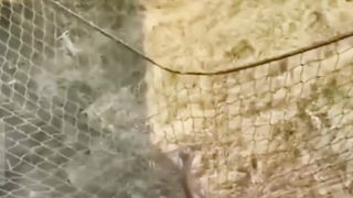Funny Video 123