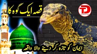 Story Of Monitor Lizard by The Door Of