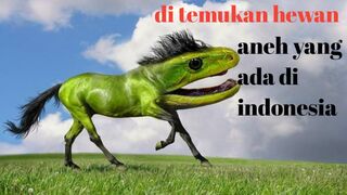cute animal 6