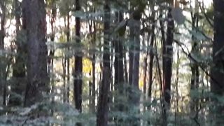 Beautiful nature 37