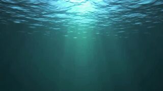 10 SCARY Sea Creatures Caught On Tape
