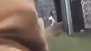funny cat funny video 7