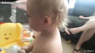 Funniest Baby Fails Compilation ????????