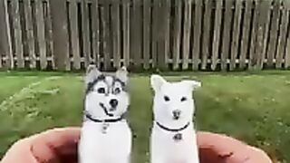 Animales compilación reacciones
