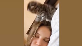 Cute cats moments. Cute cats have the most special relationship with their BFF