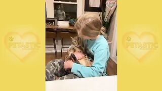 Cats being jerks! Funny cats moments