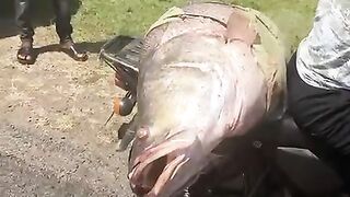 Don't miss to see this video????