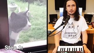 Cat music