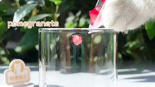 Pomegranate juice.. sweetest