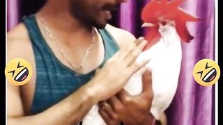 Funny video spot me bhai log 221