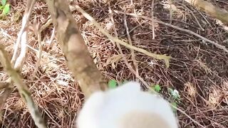 Cat adventure 4