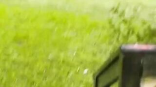 # #dogsvideo #funny #dogs #fypシ
