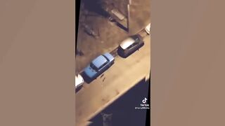 Funny Animal Videos 2022 ???? - Funniest Cats And Dogs Videos ???????? 6