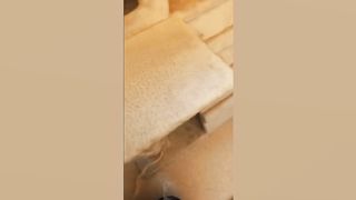 Funny Animal Videos 2022 ???? - Funniest Cats And Dogs Videos ???????? 8