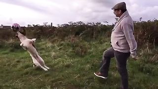 Slow-mo super pup