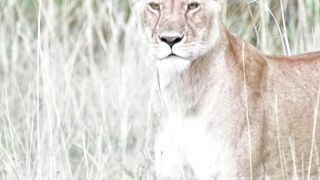 Beautiful nature 38