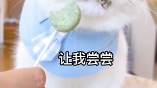 Originally, little cats would also give each other snacks~# Cats # Cute Pets