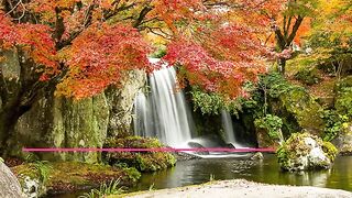 ✅Música relaxante para relaxamento, sono e meditação- Relaxar e dormir bem